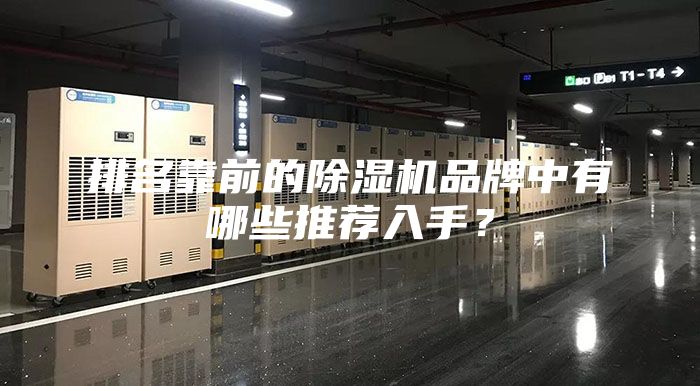 排名靠前的除湿机品牌中有哪些推荐入手？
