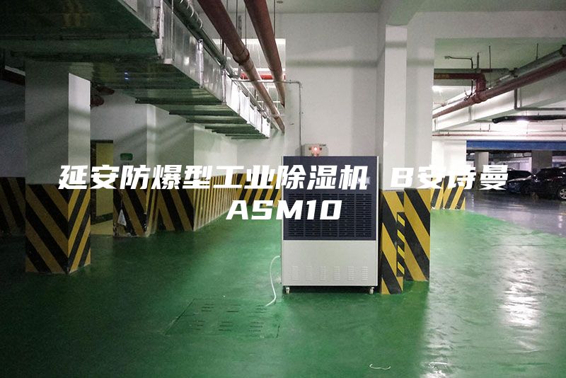 延安防爆型工业除湿机 B安诗曼ASM10