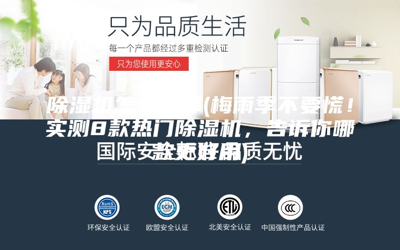 除湿机怎么选择(梅雨季不要慌！实测8款热门除湿机，告诉你哪款更好用)