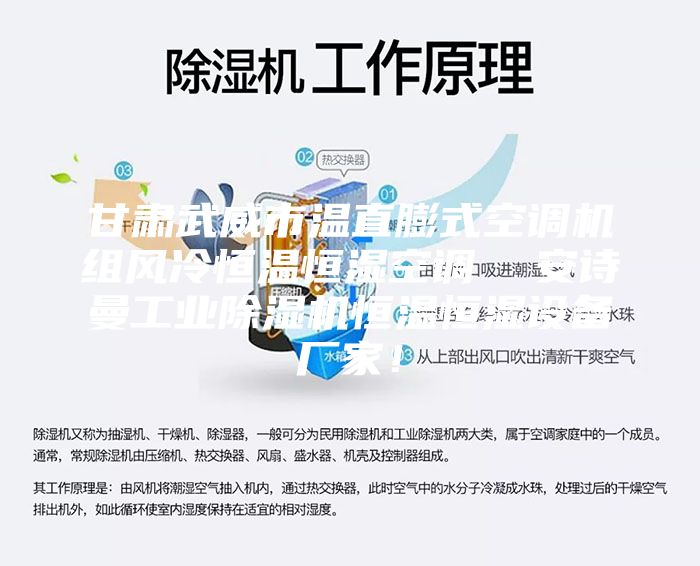 甘肃武威市温直膨式空调机组风冷恒温恒湿空调  安诗曼工业除湿机恒温恒湿设备厂家！