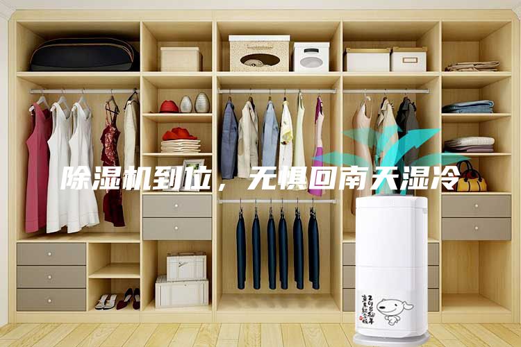 除湿机到位，无惧回南天湿冷