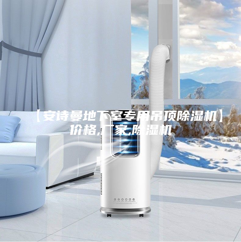 【安诗曼地下室专用吊顶除湿机】价格,厂家,除湿机