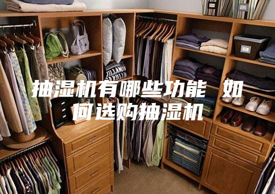 抽湿机有哪些功能 如何选购抽湿机