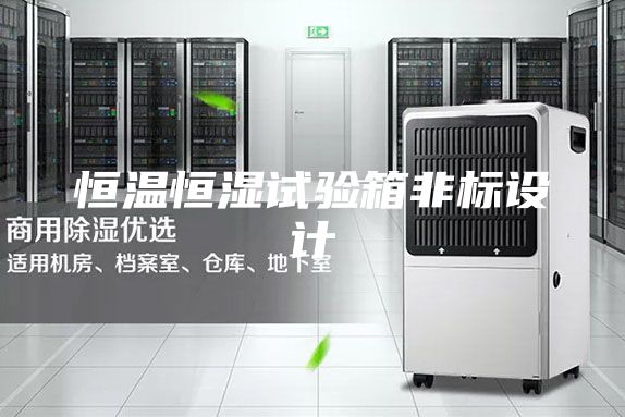 恒温恒湿试验箱非标设计