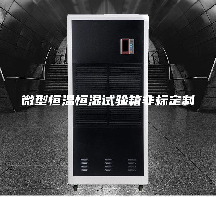 微型恒温恒湿试验箱非标定制