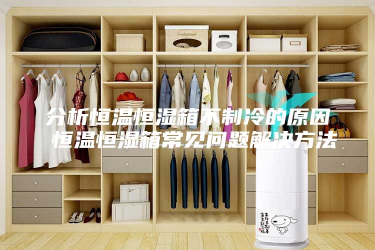 分析恒温恒湿箱不制冷的原因 恒温恒湿箱常见问题解决方法