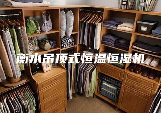 衡水吊顶式恒温恒湿机