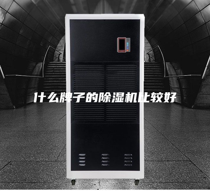 什么牌子的除湿机比较好