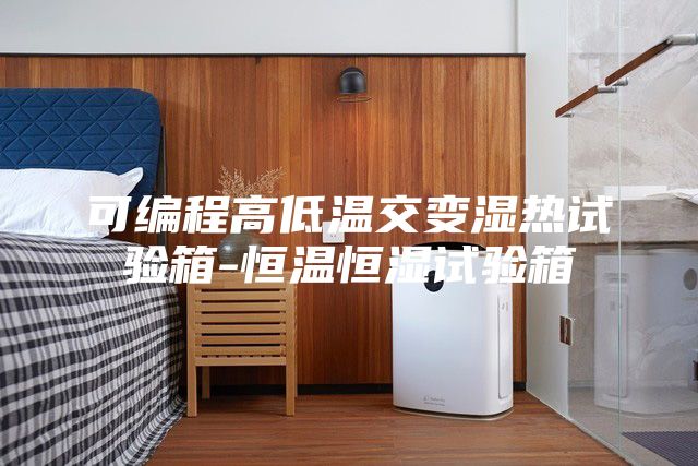 可编程高低温交变湿热试验箱-恒温恒湿试验箱