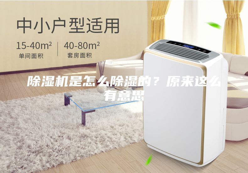除湿机是怎么除湿的？原来这么有意思