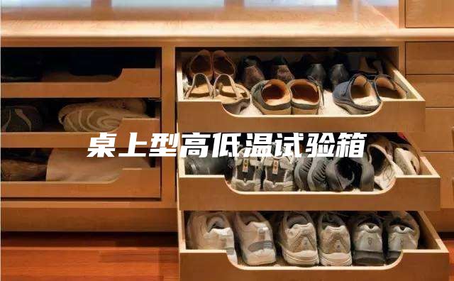 桌上型高低温试验箱