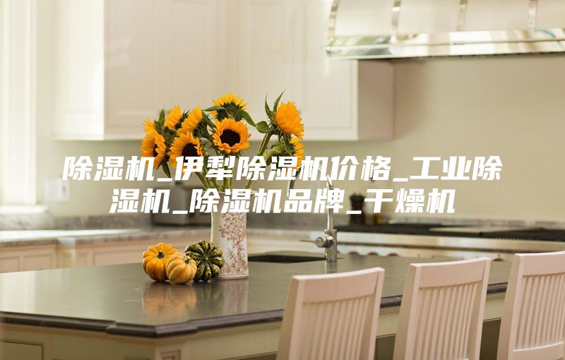 除湿机_伊犁除湿机价格_工业除湿机_除湿机品牌_干燥机