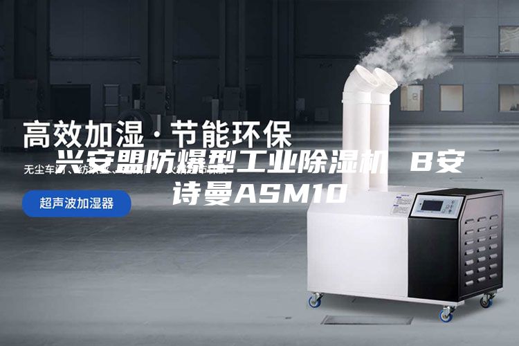 兴安盟防爆型工业除湿机 B安诗曼ASM10