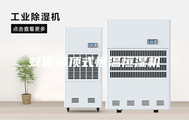 蚌埠吊顶式恒温恒湿机