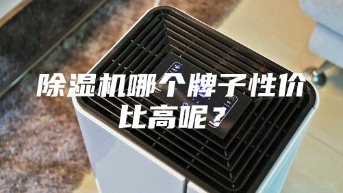 除湿机哪个牌子性价比高呢？