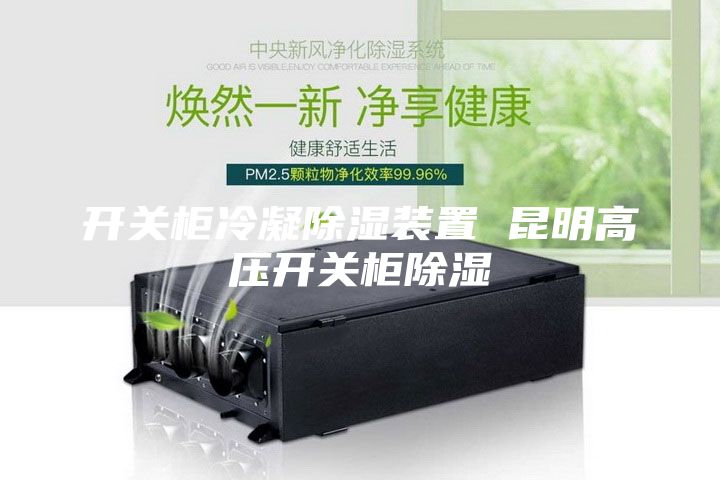 开关柜冷凝除湿装置 昆明高压开关柜除湿