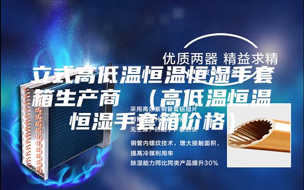 立式高低温恒温恒湿手套箱生产商 （高低温恒温恒湿手套箱价格）