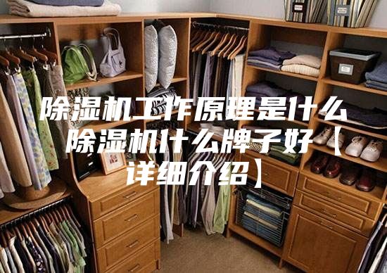 除湿机工作原理是什么 除湿机什么牌子好【详细介绍】