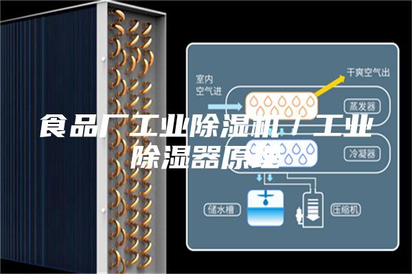 食品厂工业除湿机／工业除湿器原理