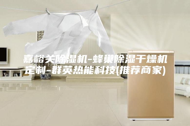 嘉峪关除湿机-蜂巢除湿干燥机定制-群英热能科技(推荐商家)