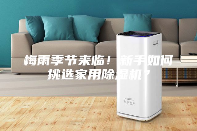 梅雨季节来临！新手如何挑选家用除湿机？