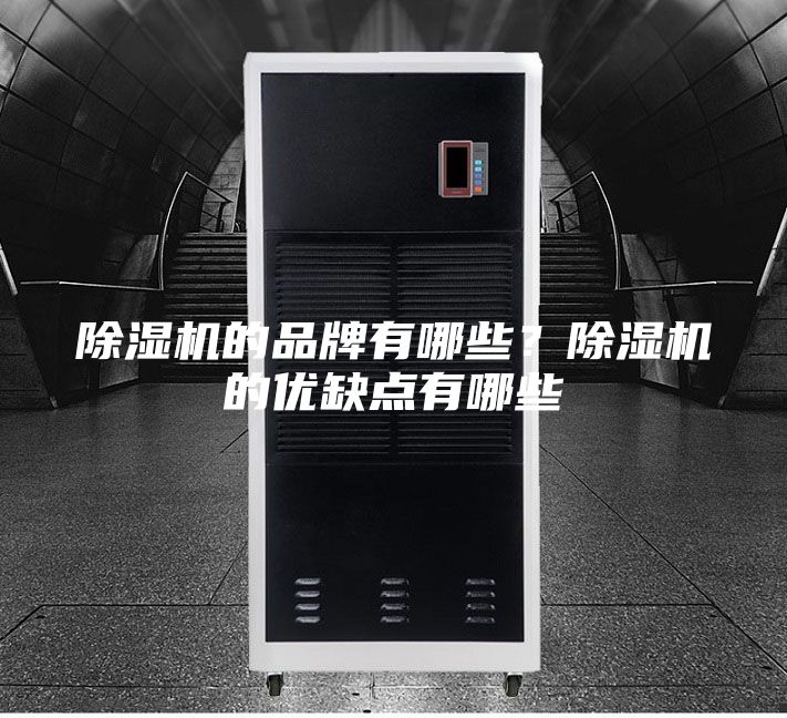 除湿机的品牌有哪些？除湿机的优缺点有哪些