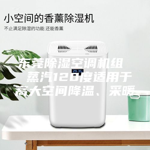 东莞除湿空调机组  蒸汽120度适用于高大空间降温、采暖