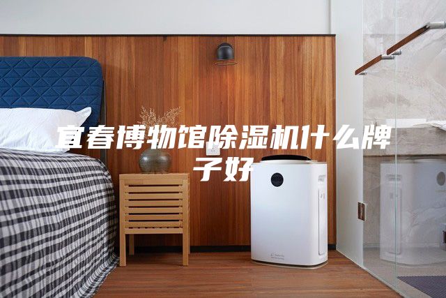 宜春博物馆除湿机什么牌子好