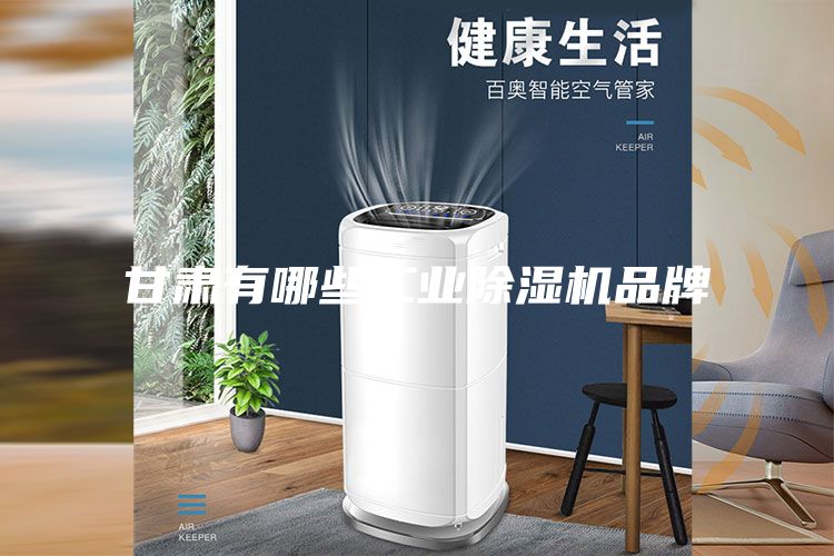 甘肃有哪些工业除湿机品牌