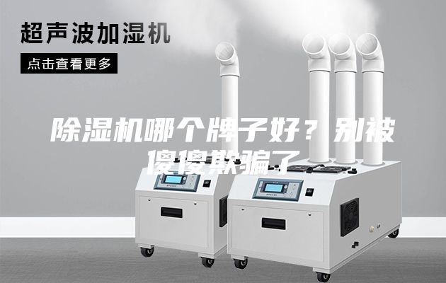 除湿机哪个牌子好？别被傻傻欺骗了