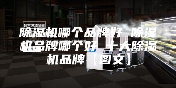 除湿机哪个品牌好 除湿机品牌哪个好 十大除湿机品牌【图文】