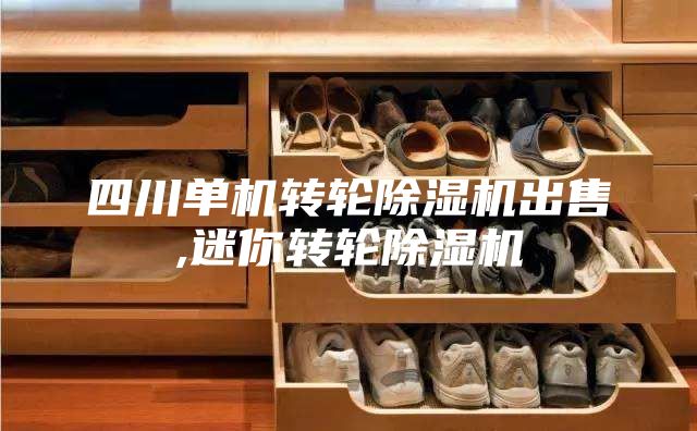 四川单机转轮除湿机出售,迷你转轮除湿机