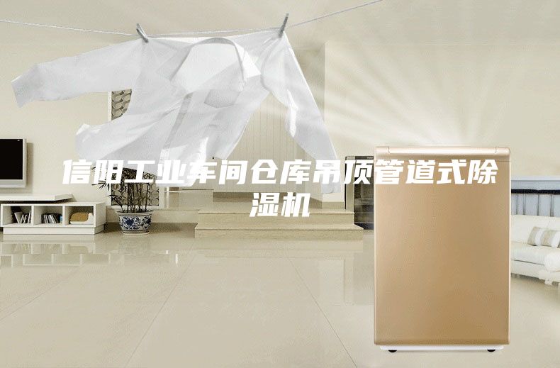 信阳工业车间仓库吊顶管道式除湿机