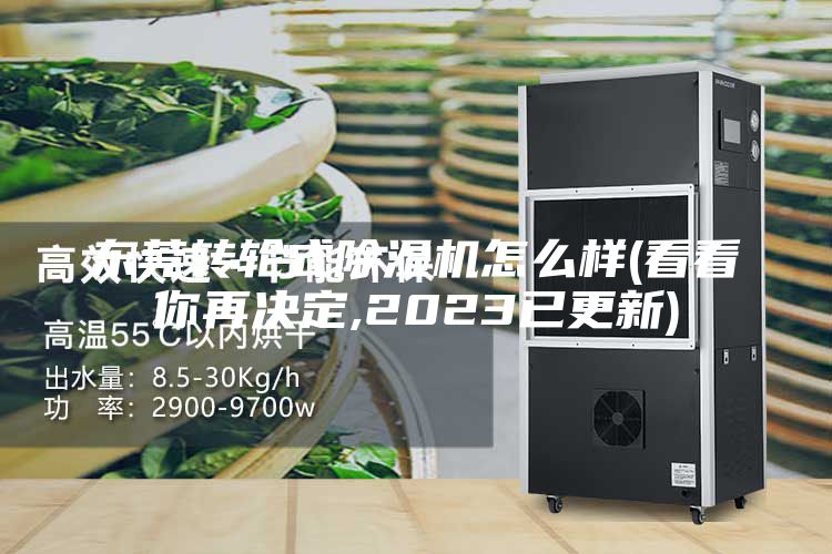 东莞转轮式除湿机怎么样(看看你再决定,2023已更新)