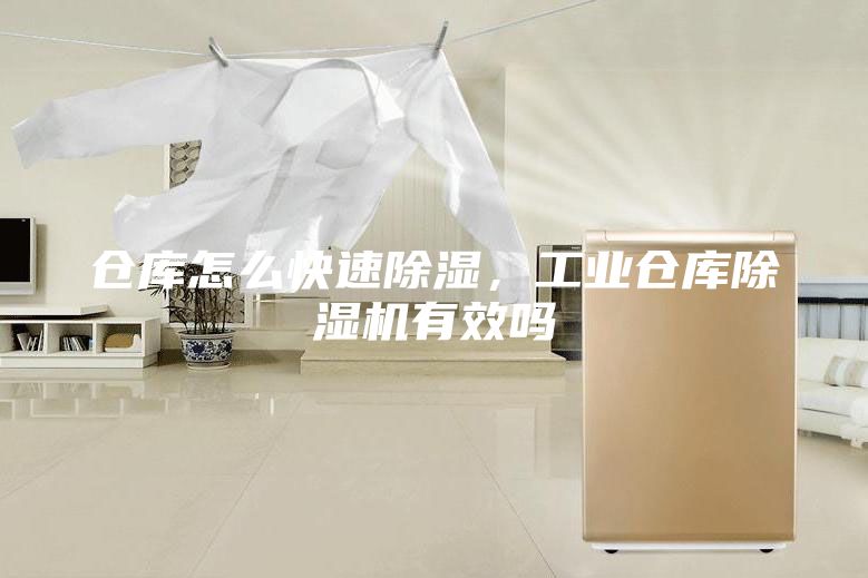 仓库怎么快速除湿，工业仓库除湿机有效吗