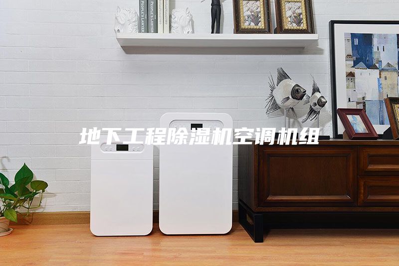 地下工程除湿机空调机组