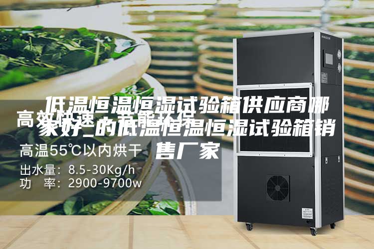 低温恒温恒湿试验箱供应商哪家好_的低温恒温恒湿试验箱销售厂家