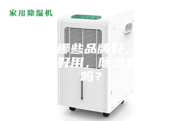 除湿机哪些品牌好，哪个品牌最好用，除湿机有用吗？