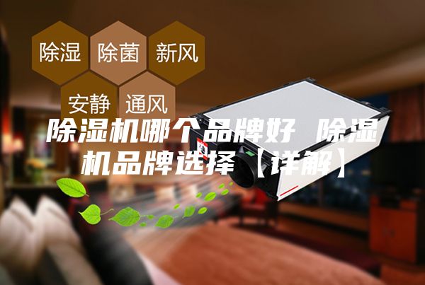 除湿机哪个品牌好 除湿机品牌选择【详解】