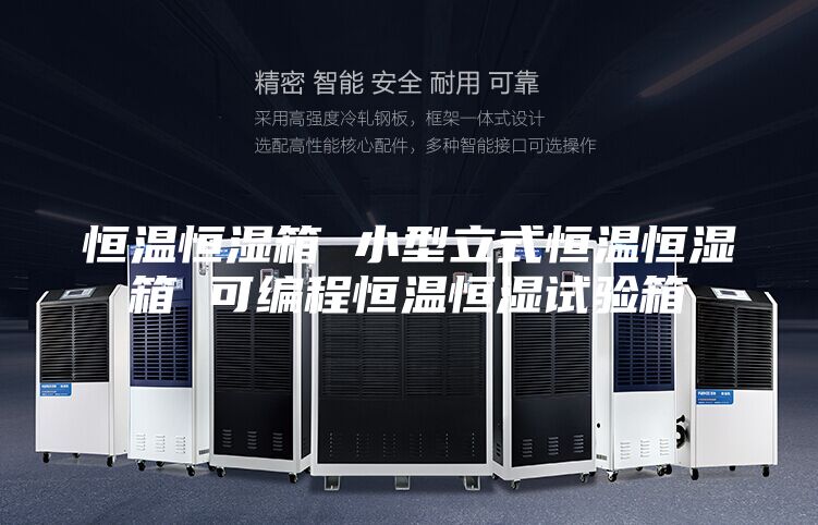 恒温恒湿箱 小型立式恒温恒湿箱 可编程恒温恒湿试验箱