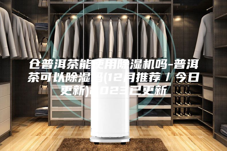 仓普洱茶能使用除湿机吗-普洱茶可以除湿吗(12月推荐／今日更新)2023已更新
