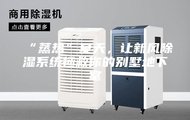 “蒸热”夏天，让新风除湿系统拯救你的别墅地下室