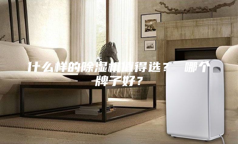 什么样的除湿机值得选？ 哪个牌子好？