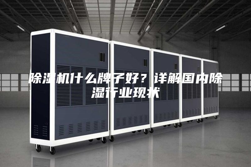 除湿机什么牌子好？详解国内除湿行业现状