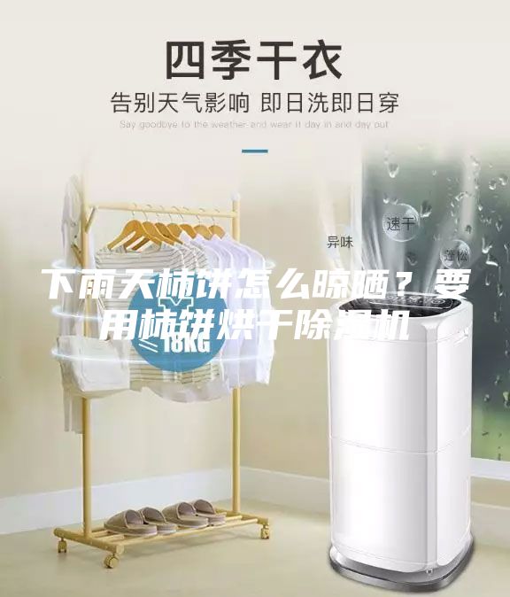 下雨天柿饼怎么晾晒？要用柿饼烘干除湿机