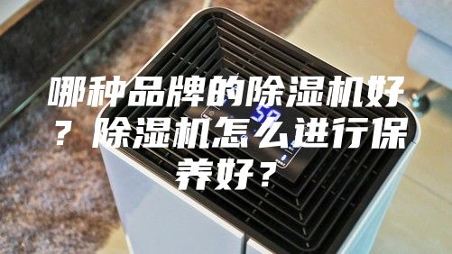 哪种品牌的除湿机好？除湿机怎么进行保养好？