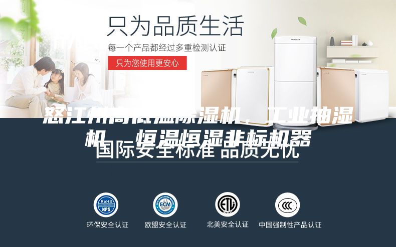 怒江州高低温除湿机，工业抽湿机  恒温恒湿非标机器