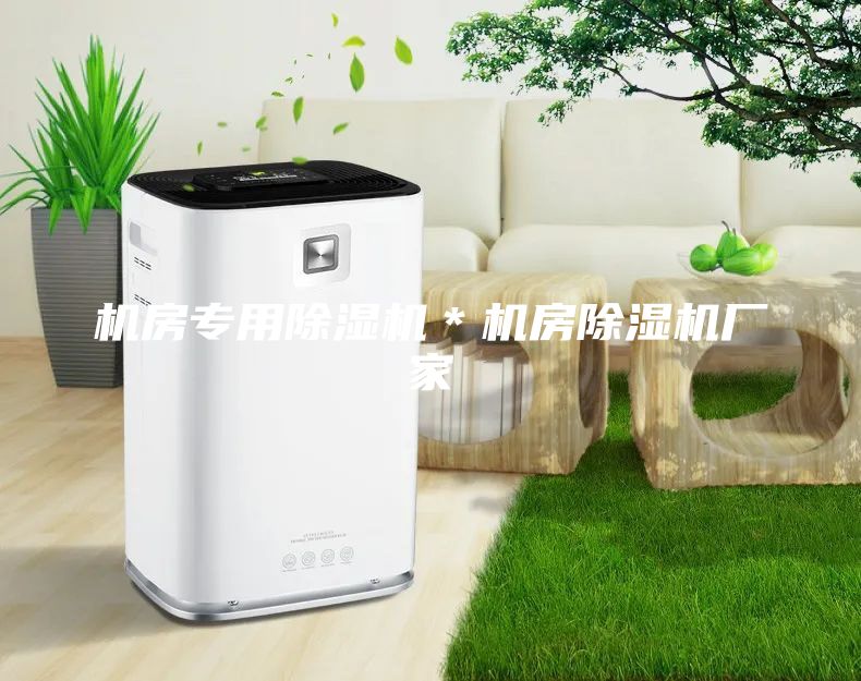 机房专用除湿机＊机房除湿机厂家