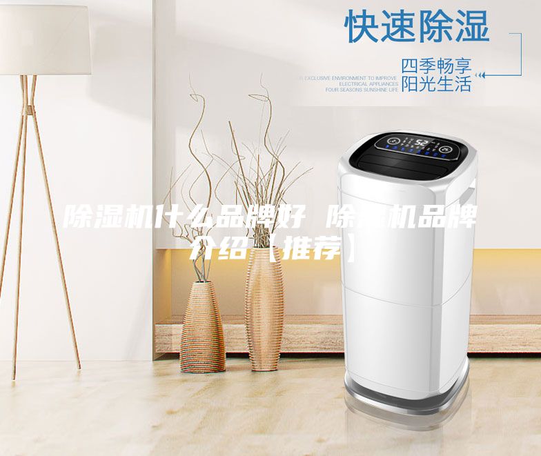 除湿机什么品牌好 除湿机品牌介绍【推荐】