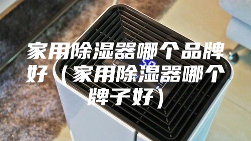 家用除湿器哪个品牌好（家用除湿器哪个牌子好）